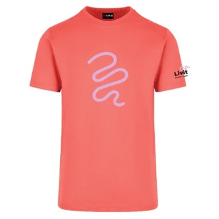 WORKWEAR, SAFETY & CORPORATE CLOTHING SPECIALISTS American Style T-Shirts - Coral Red